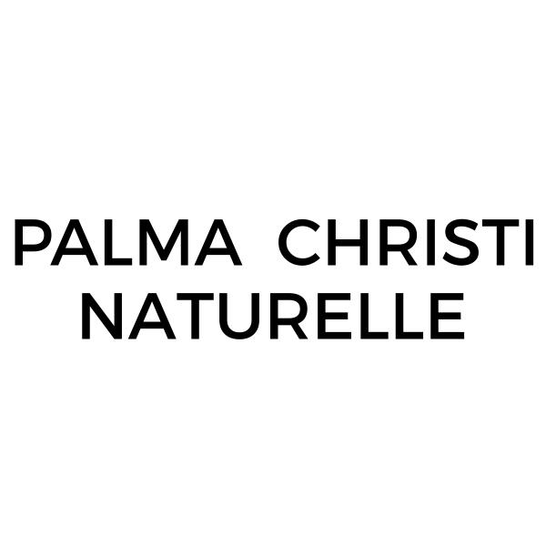 Palma Christi Naturelle